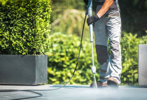 Best Rust Removal  in Elk River, MN
