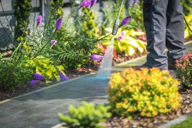 Best Post-Construction Pressure Washing  in Elk River, MN