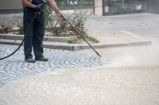 Best Patio and Deck Pressure Washing  in Elk River, MN