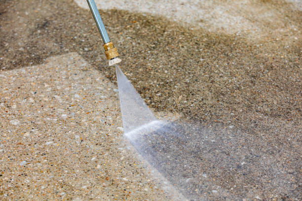 Best Spring Cleaning  in Elk River, MN